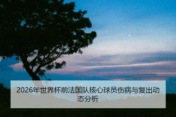 nian-shi-jie-bei-qian-fa-guo-dui-he-xin-qiu-yuan-shang-bing-yu-fu-chu-dong-tai-fen-xi-2-893.jpg