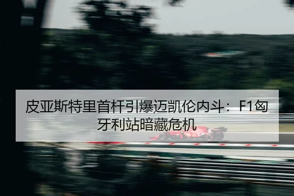 pi-ya-si-te-li-shou-gan-yin-bao-mai-kai-lun-nei-dou-xiong-ya-li-zhan-an-cang-wei-ji-2-113.jpg