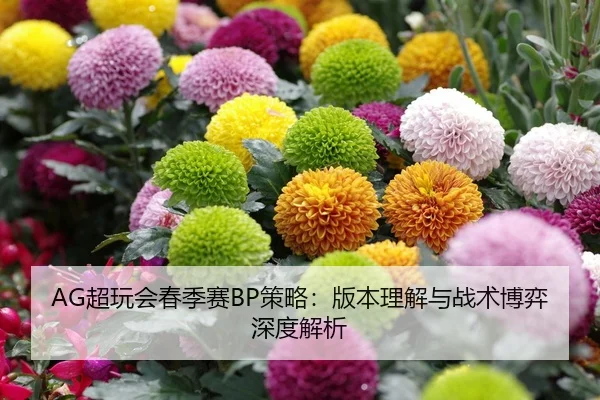 chao-wan-hui-chun-ji-sai-ce-lve-ban-ben-li-jie-yu-zhan-shu-bo-yi-shen-du-jie-xi-2-561.jpg