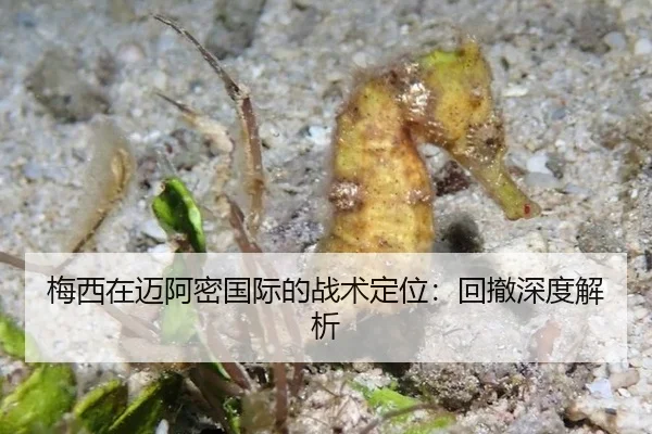 梅西在迈阿密国际的战术定位：回撤深度解析