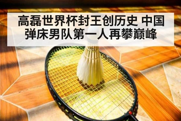 高磊世界杯封王创历史 中国弹床男队第一人再攀巅峰